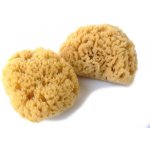 Caribbean Sun kosmetická mořská houba 5 - 6 cm – Hledejceny.cz