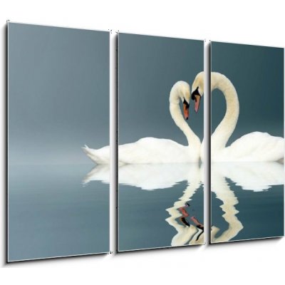 Obraz 3D třídílný - 105 x 70 cm - Love Swans swan heart Amor – Zbozi.Blesk.cz