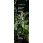 Plantlovers. Neviditelná botanika městského prostředí - Antih Střelcová Alexandra – Hledejceny.cz