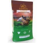 Energys Nosnice Gold 25 kg – Zboží Dáma