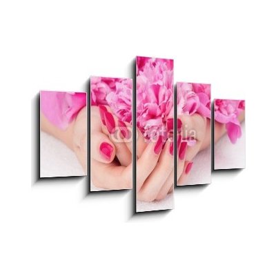 Obraz pětidílný 5D - 150 x 100 cm - Woman cupped hands with pink manicure holding a flower Žena pokrčila ruce s růžovou manikúru držící květinu – Hledejceny.cz