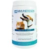Vitamíny pro psa Immuneregen pro psy a kočky 2 x 450 g