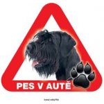 Grel nálepka na sklo pozor pes v autě knírač velký – Zbozi.Blesk.cz