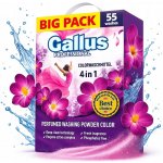 Gallus Profesional Color prací prášek 3,05 kg 55 PD – Hledejceny.cz