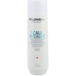 Goldwell Dualsenses Deep Cleansing Shampoo 250 ml – Zboží Mobilmania
