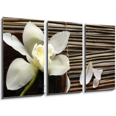 Obraz 3D třídílný - 90 x 50 cm - bowl of orchid, petal on bamboo mat miska orchideje, okvětní lístek na bambusové rohoži – Zboží Mobilmania