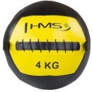 HMS Wall ball 4 kg