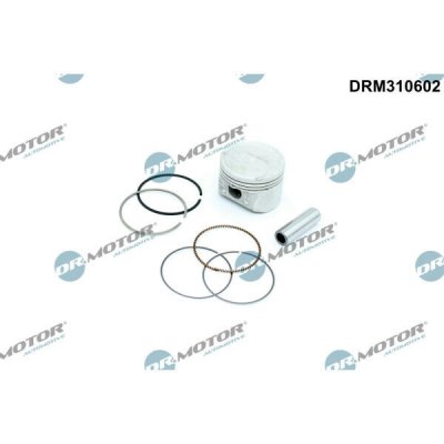 Dr.Motor Automotive DRM310602 – Hledejceny.cz
