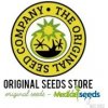 Semena konopí Original Sensible Seeds Kush Mintz Fast semena neobsahují THC 3 ks
