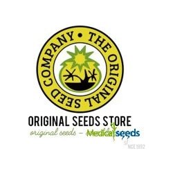Original Sensible Seeds Kush Mintz Fast semena neobsahují THC 3 ks