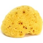 OK Baby mořská houba na mytí 12 honeycomb – Zboží Dáma OK Baby mořská houba na mytí 12 honeycomb – Zboží Dáma