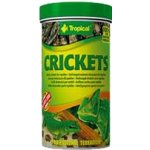 Tropical Crickets 250 ml – Zboží Mobilmania