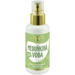 Purity Vision BIO Meduňková voda 100 ml – Zboží Mobilmania