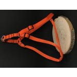 Palkar motýlek postroj pro psy – Zbozi.Blesk.cz