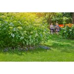 Gardena RollUp M 20 m 18650-20 – Zboží Dáma