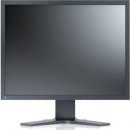 Monitor Eizo S2133