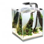 Aquael Shrimp Smart akvarijní set černý 25 x 25 x 30 cm, 20 l – Sleviste.cz