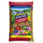 Forestina Standard Pokojové rostliny 5 l – Zboží Mobilmania