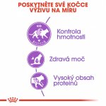 Royal Canin Regular Sterilised 37 400 g – Hledejceny.cz