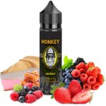 Monkey liquid Seržant Shake & Vape 12 ml – Zboží Dáma