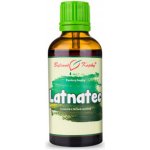Bylinné kapky Latnatec tinktura 50 ml – Hledejceny.cz