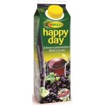 Rauch Happy Day černý rybíz 1 l – Zboží Dáma
