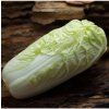 Osivo a semínko Zelí pekingské Granaat - Brassica pekinensis - prodej semen - 200 ks