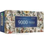 TREFL UFT Staré nebeské mapy souhvězdí 9000 dílků – Zboží Dáma