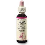 Bachovy květové esence Kaštan jedlý Sweet Chestnut 20 ml – Hledejceny.cz