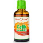 Celík zlatobýl kanadský kapky Duše rostlin 50 ml – Hledejceny.cz
