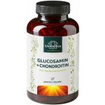 Glukosamin + Chondroitin sulfát 180 kapslí – Hledejceny.cz
