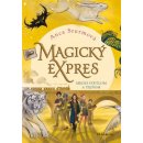 Magický expres: Medzi svetlom a tieňom - Anca Sturm