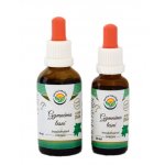 Salvia Paradise Gymnéma lesní AF tinktura Bio 30 ml – Hledejceny.cz