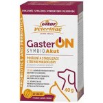 VITAR Veterinae GasterON Symbio Akut 20 sáčků 40 g – Hledejceny.cz