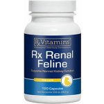 Rx Vitamins Rx Renal Feline 120cps – Zboží Mobilmania