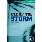 Eye of the Storm - Loader Mandy – Hledejceny.cz