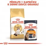Royal Canin Ragdoll Adult 2 kg – Hledejceny.cz