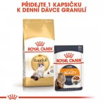 Royal Canin Ragdoll Adult 2 kg – Zboží Dáma