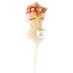 EverGreen Vánoční zápich se slaměnou mašličkou a knoflíkem, hvězda, 26 cm – Hledejceny.cz