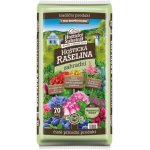 Forestina Hoštický substrát Rašelina 10 l – Zboží Mobilmania