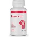 PRAEOSTIN – vápník, vitamín D3 a K2 MK-7 pro kosti 120 tobolek – Hledejceny.cz