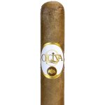 Oliva Connecticut Reserve Petit Corona 1 ks – Zboží Dáma