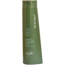 Joico Body Luxe Shampoo 300 ml