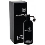 Montale Aoud Cuir d'Arabie parfémovaná voda pánská 100 ml – Hledejceny.cz