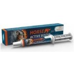 Horse Active Boost perorální pasta 20 g – Zboží Dáma