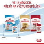 Royal Canin Medium Puppy 140 g – Sleviste.cz
