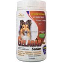 Vitamíny pro psa GELACAN SENIOR 150 g