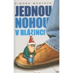 Jednou nohou v blázinci - Monyová Simona – Hledejceny.cz