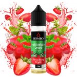 Bombo Wailani Juice S & V Strawberry Mojito 15 ml – Zboží Dáma
