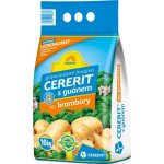 Forestina hnojivo na brambory MINERAL 5 kg – Zboží Mobilmania